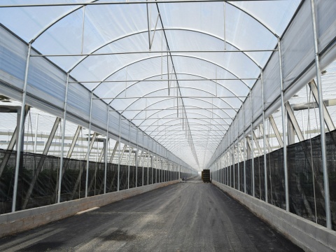 Proyecto-Agroclean-Invernaderos-Otros-Proyectos-Tunel-01